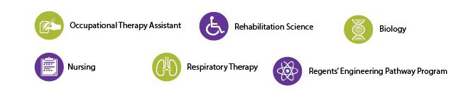 list of departments in the School of Health and Natural Sciences. Biology, Nursing, Occupational Therapy, Rehab Science, Respiratory Therapy, and Regents' Engineering Pathway